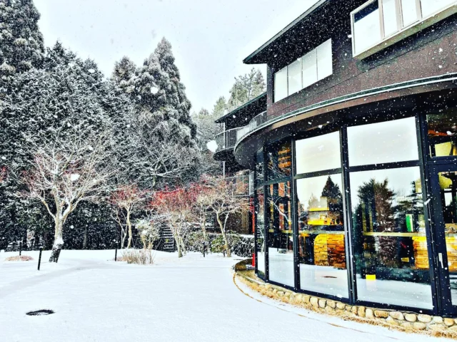 【冬の六甲山蒸溜所】
六甲山蒸溜所が位置する🗻山上は南側にあります。北側の裏六甲側は気象条件が異なり凍結している場所があります。登山やドライブには充分気をつけて上がってきて下さい❄️。蒸溜所の見学ツアーにつきましては🌸春以降の再開を予定しています。細部日程等決まりましたらホームページやインスタ等でお知らせいたします。スタッフ一同お待ちしています。